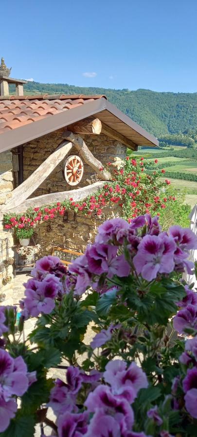 Ca D' Fefi Bed and Breakfast Gorzegno Eksteriør billede